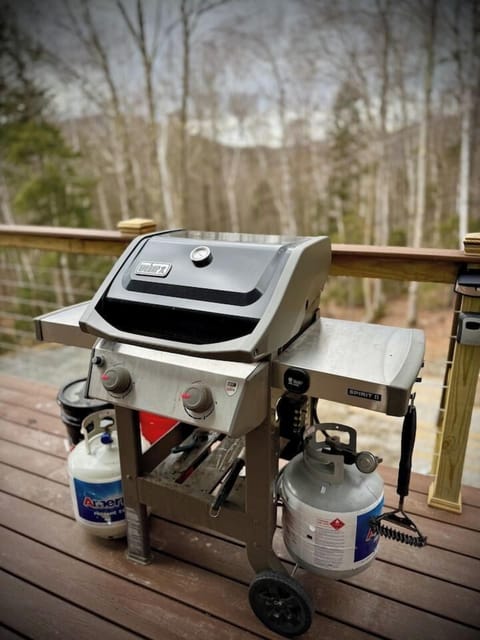 Weber Propane Grill