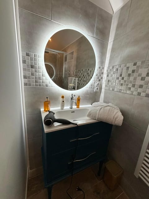 Deluxe Suite | Bathroom | Hair dryer, soap, shampoo, toilet paper