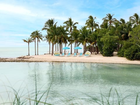 Crystal-clear waters meet a private beach shaded by palms, a tranquil retreat for ultimate relaxation.