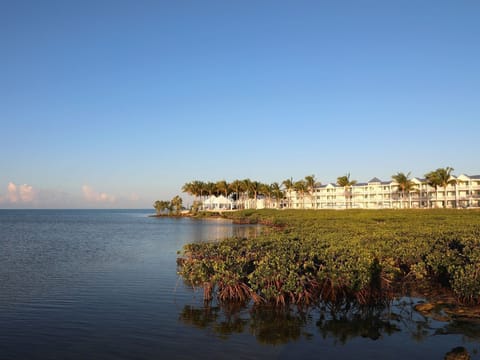 Expansive waterfront views surrounded by lush greenery, perfect for a tranquil escape into nature.