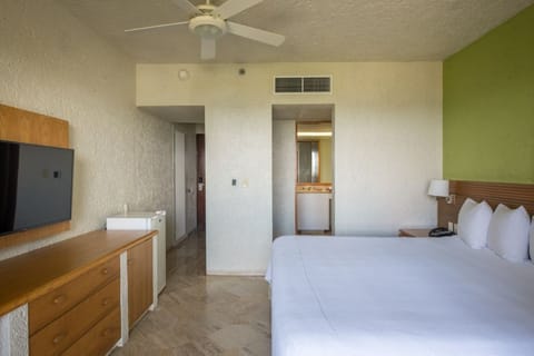 Living / Sleeping Area