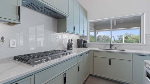 Contemporary chef's kitchen with natural lighting