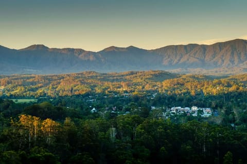 Best Views in Bellingen