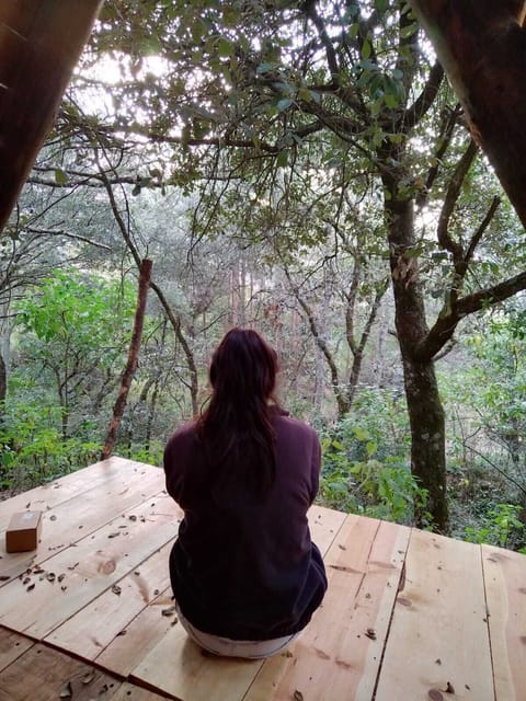 Economy Cabin, Balcony, River View | Living area