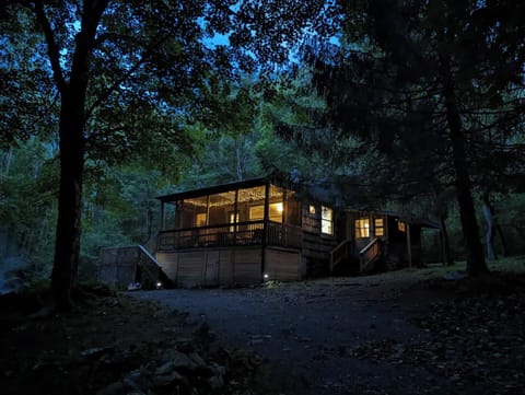 Relax on the screened in porch with twinkle lights and a fan