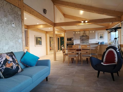 Sofa and chair shaped like a shark in the living area