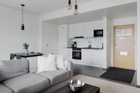 Apartment living room and kitchen