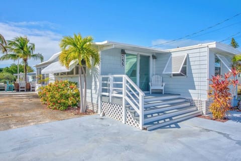 C2b4b849 b3ed 403e 870f 1c55ba33e98e