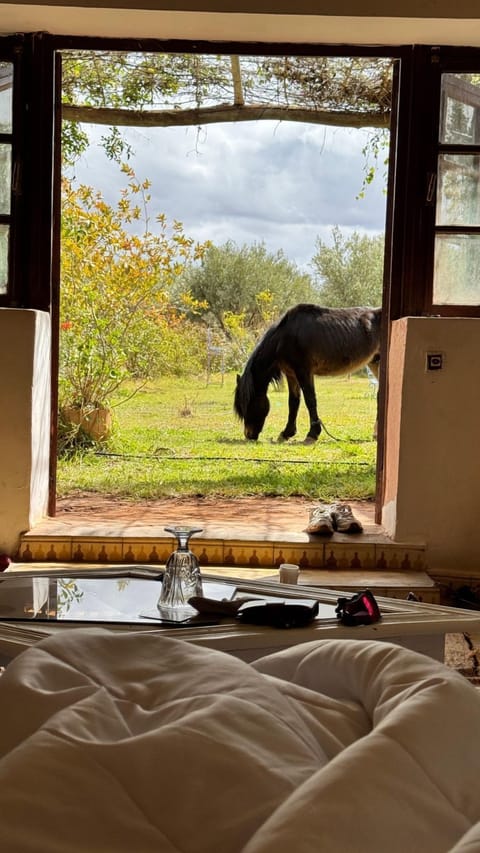 Superior Double Room, Resort View | Iron/ironing board