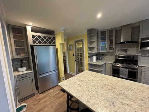 Downstairs Kitchen Fridge and Vanity