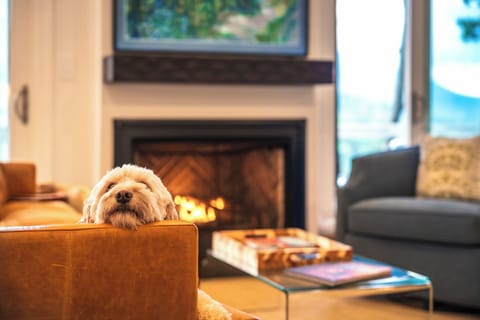 Pet friendly, our furry friends deserve a vacation, too! 