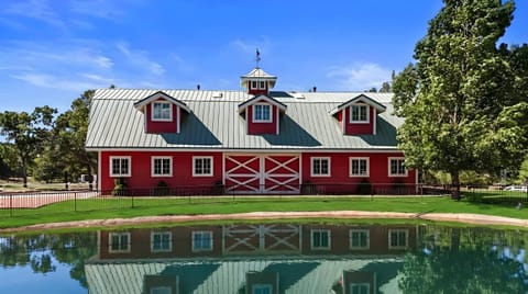 The pond is available for Lodge guests only. 