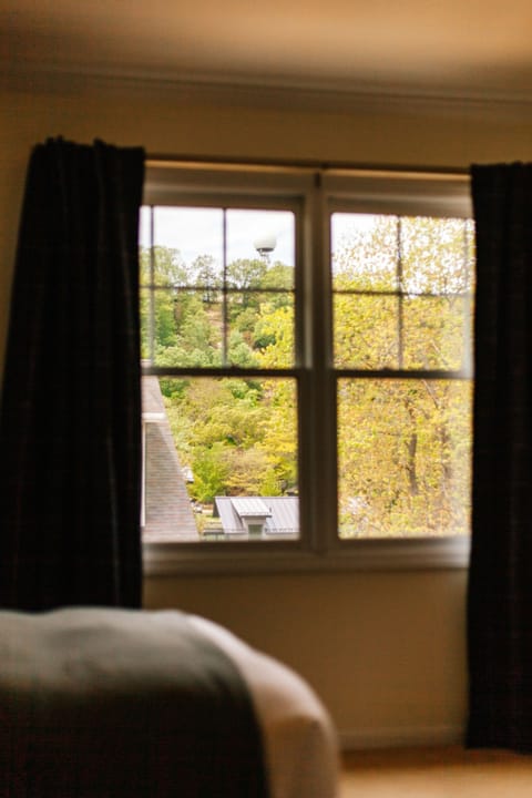 Views of Mt. Baldhead from the Queen Suite