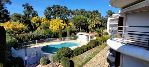 Pool view