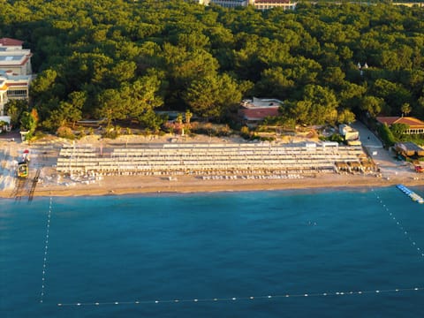 Sun loungers, beach umbrellas, beach towels
