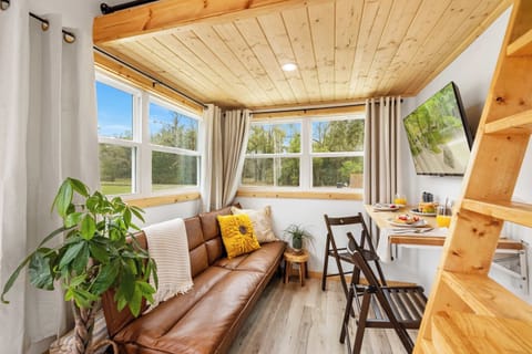 Cozy tiny home living area with leather sofa and loft.