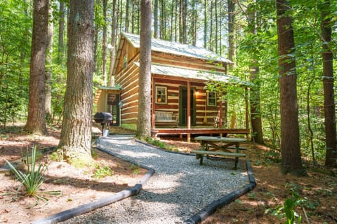 Picnic area & charcoal BBQ