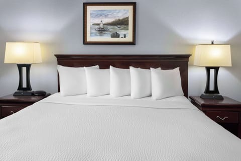 1 King Bed, Non-Smoking  | Desk, blackout drapes, iron/ironing board, free cribs/infant beds