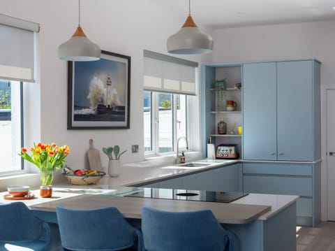 Fridge, dishwasher, electric kettle, toaster