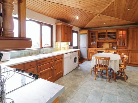 Fridge, dishwasher, electric kettle, toaster