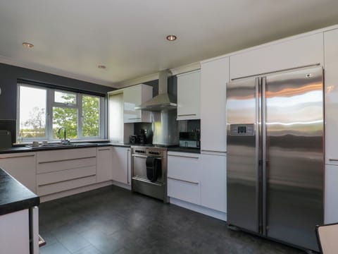 Fridge, dishwasher, electric kettle, toaster