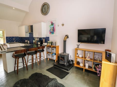 Fridge, dishwasher, electric kettle, toaster