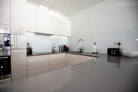 Fridge, dishwasher, cookware/dishes/utensils