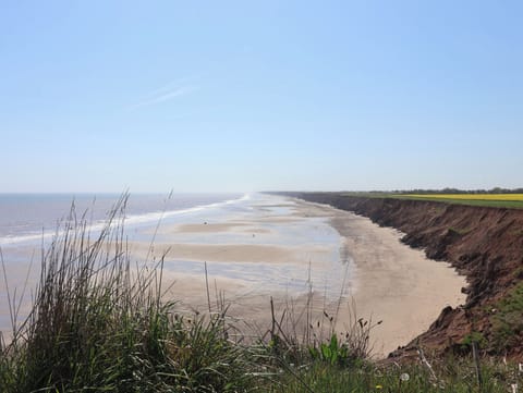 Cottage | Beach