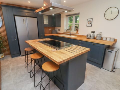 Fridge, dishwasher, electric kettle, toaster