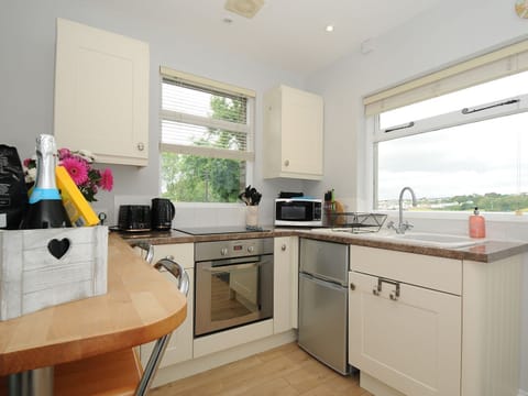 Fridge, electric kettle, toaster, cookware/dishes/utensils