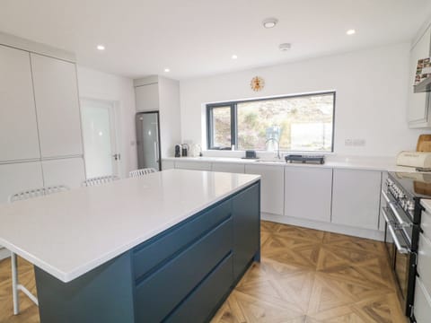 Fridge, dishwasher, electric kettle, toaster