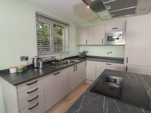 Fridge, dishwasher, electric kettle, toaster