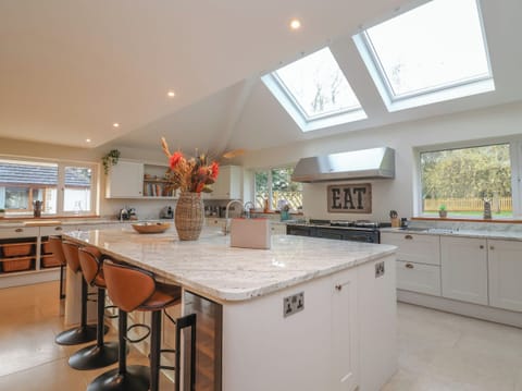 Fridge, dishwasher, electric kettle, toaster