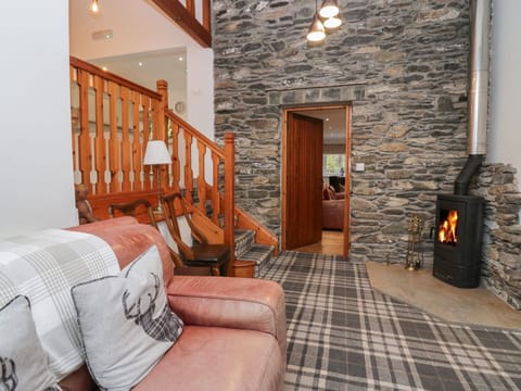 Fireplace, DVD player