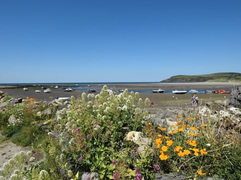 Cottage | Beach