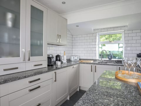 Fridge, dishwasher, electric kettle, toaster