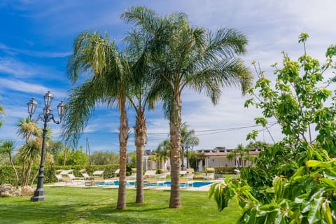 Woody Plant, Resort, Shade, Landscaping, Swimming Pool, Tropics