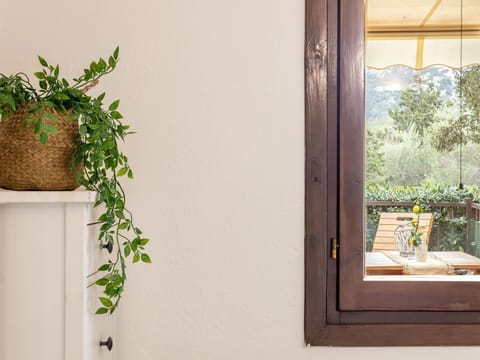 Wood, Flowerpot, Houseplant, Wood Stain, Hardwood, Vase, Molding, Still Life Photography, Floristry