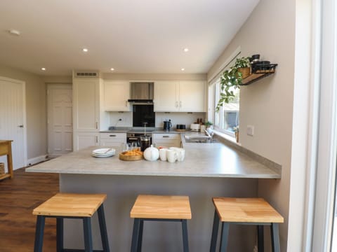 Fridge, dishwasher, electric kettle, toaster