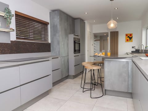 Fridge, dishwasher, electric kettle, toaster