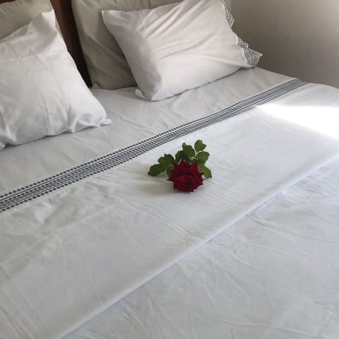 Suite | Free WiFi