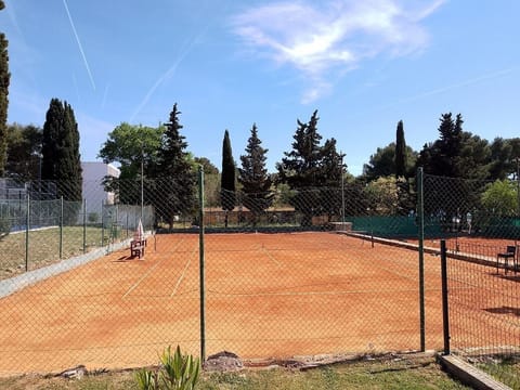 Sport court