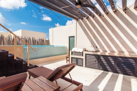 Private roof terrace with plunge pool and BBQ!