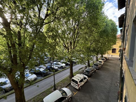 Car, Vehicle, Mode Of Transport, Wheel, Tree, Motor Vehicle, Transport, Automotive Exterior