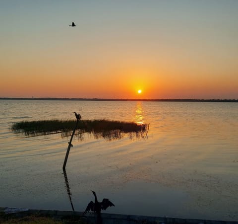 Wake up to serene lakefront views.  Take in the beauty of nature up close.