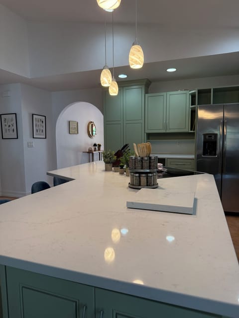 Open Island meant for cooking and entertaining