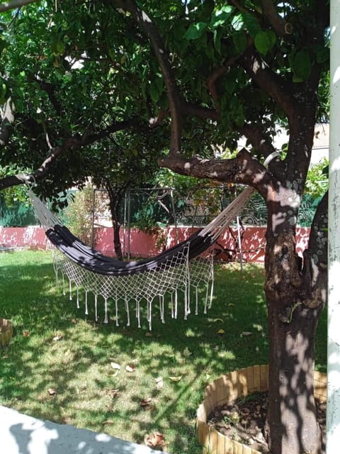 Hammock in the garden