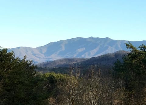 View from front porch of Mt.LeConte