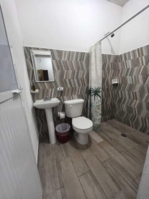 Habitación 1 | Bathroom | Shower, towels, soap, toilet paper