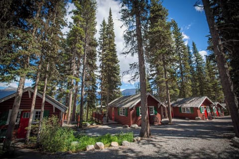 Set against a backdrop of majestic pines and crisp mountain air, these historic cabins provide a serene and unforgettable getaway.